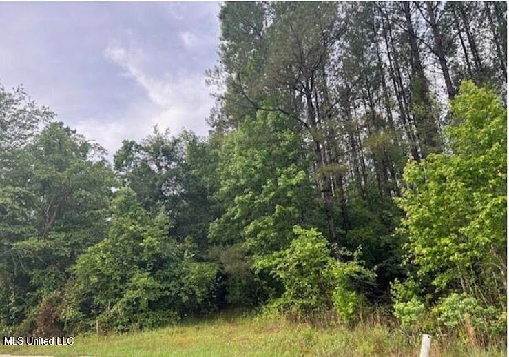 2nd image of 301 Woods Rd