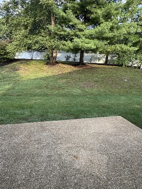 2 bed, 1498 sqft, $2,900 — Photo 3