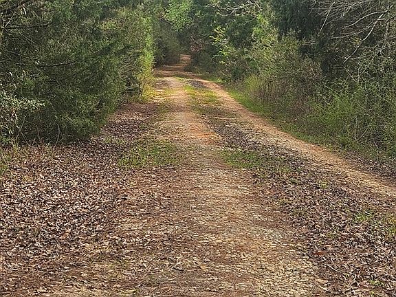 2nd image of 704 County Road 409