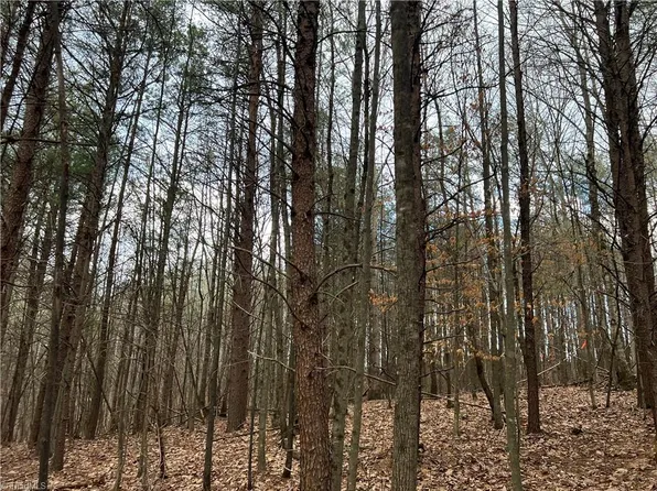 LOT 14 Fisher Valley Rd Lot 14, Dobson, NC 27017