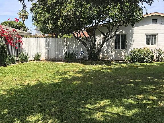 Natural shade for outdoors