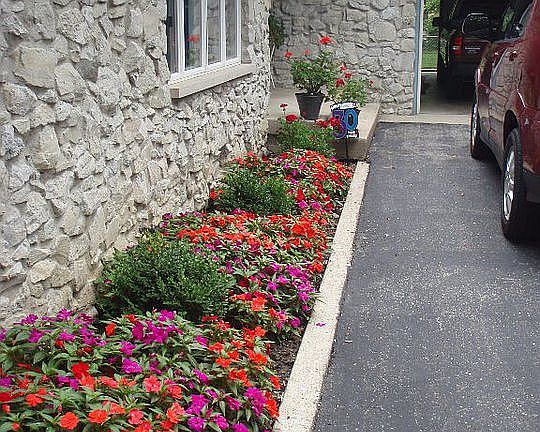 Front driveway landscaping