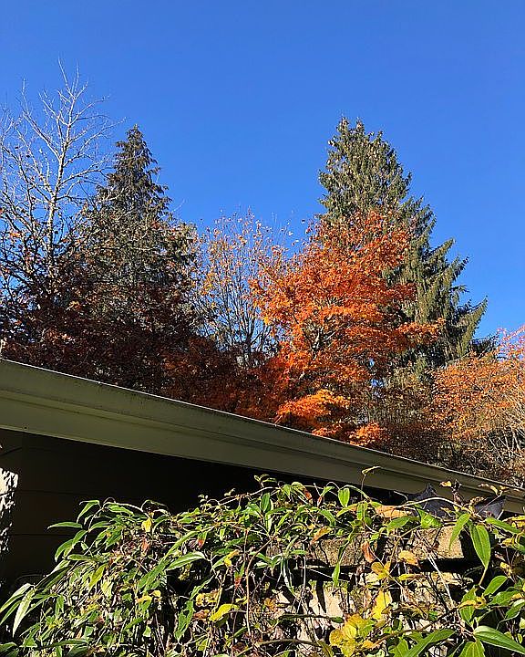2nd image of 26345 SE 156th Pl