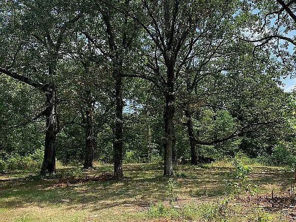 2nd image of 248 Rambo Loop