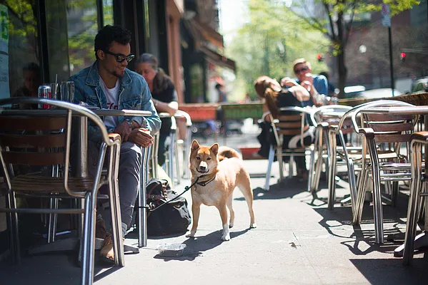 Rented by Compass | media 31