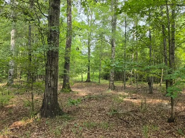 0 Nichols Ln, Lowndesboro, AL 36752