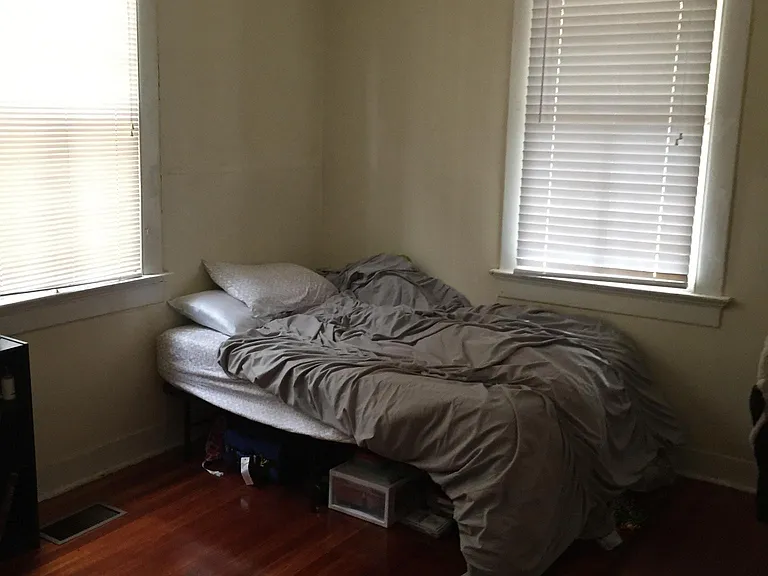 1527 Lowerline St — Photo 6