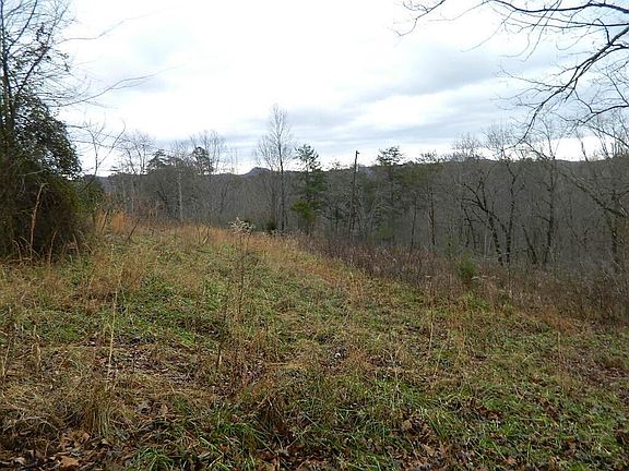 4th image of 150 Brown Ridge Rd