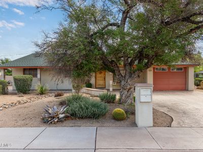 815 N Evergreen St, Chandler, AZ, 85225