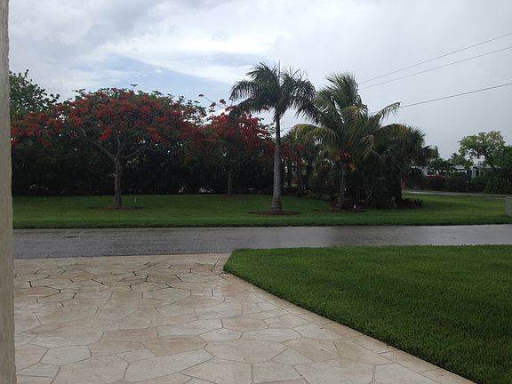 View of park from the house