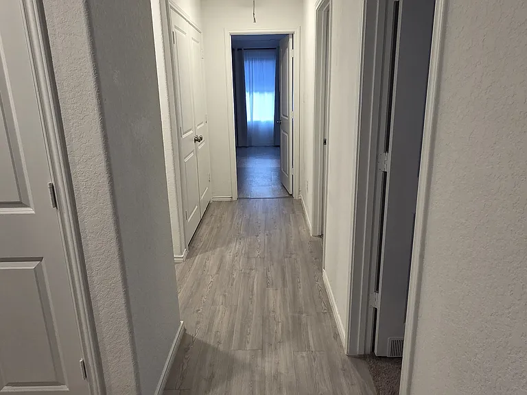7247 Ox Pl — Photo 3