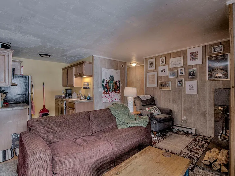 107 Peaks View Ct #323 — Photo 5