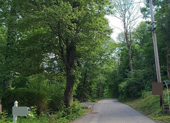 4th image of 242 Acabonack Rd