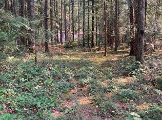 Div 6 Lake Cushman, Hoodsport, WA 98548