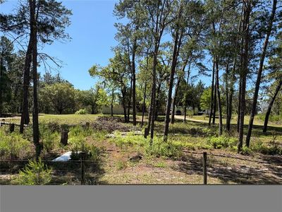 1882 Bellamy Rd, Florahome, FL, 32140