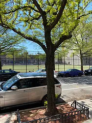 Rented by Lodger Corp