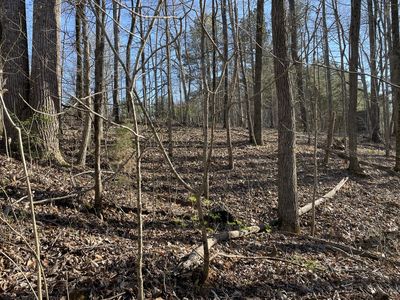 0 Mount Pleasant Rd, Kingston Springs, TN, 37082