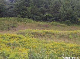 10060 Pratt Mills Rd, Centerville, NY 14029