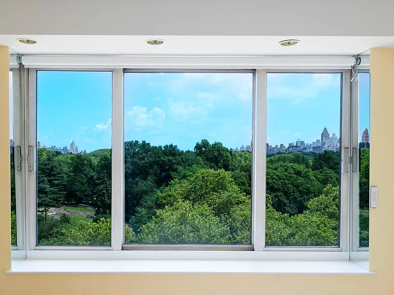 106 Central Park S #8A — Photo 9