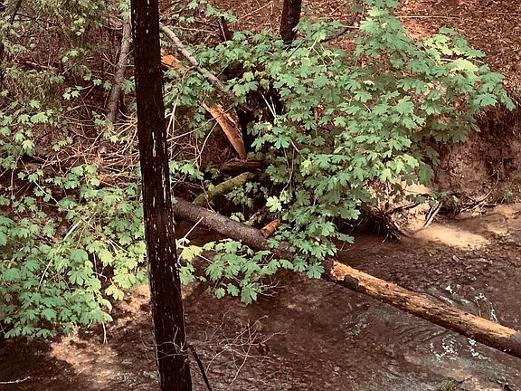5th image of 17162 Smokey River Dr