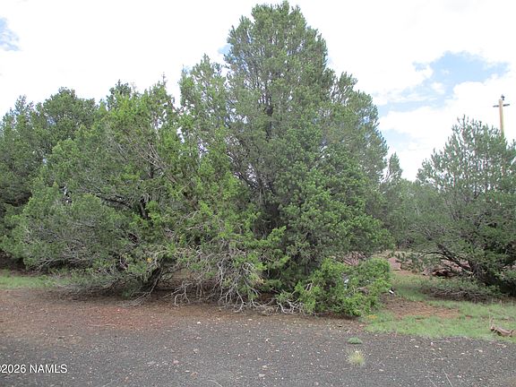 3rd image of 1237 E Alimos Way
