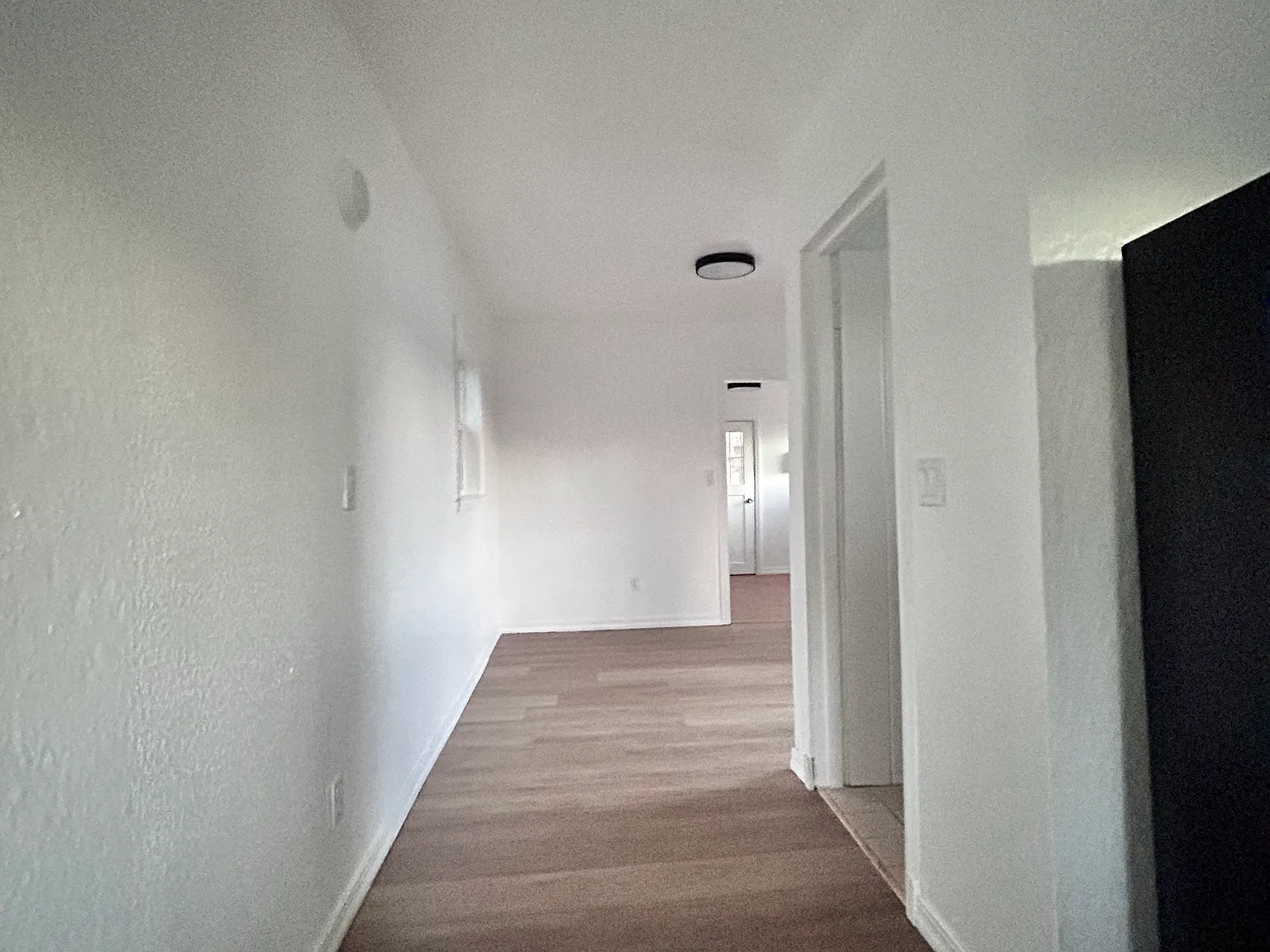1 bed, $1,000 — Photo 3