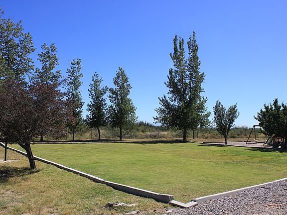 Backyard on sprinkler system