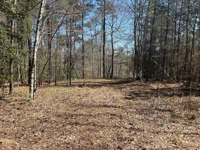 78 Shoreside At Sipsey, Double Springs, AL, 35553