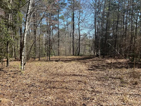 78 Shoreside At Sipsey, Double Springs, AL 35553