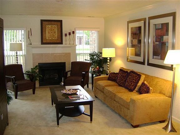 Gas Burning Fireplaces