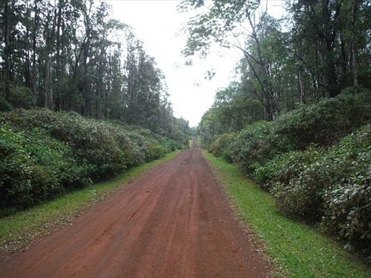 2nd image of Kuhio Dr Lot 47