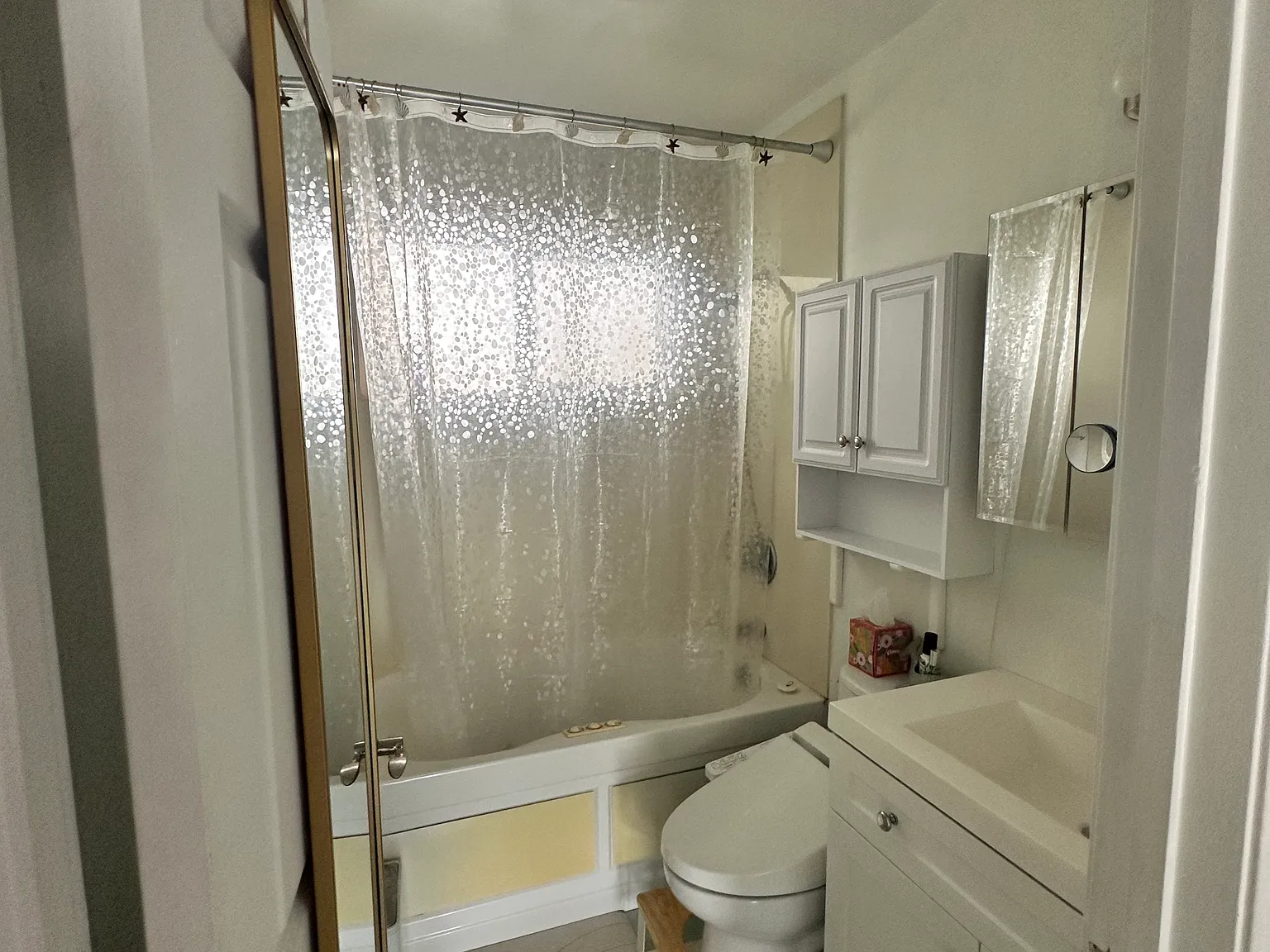 2 bed, 900 sqft, $3,300 — Photo 3