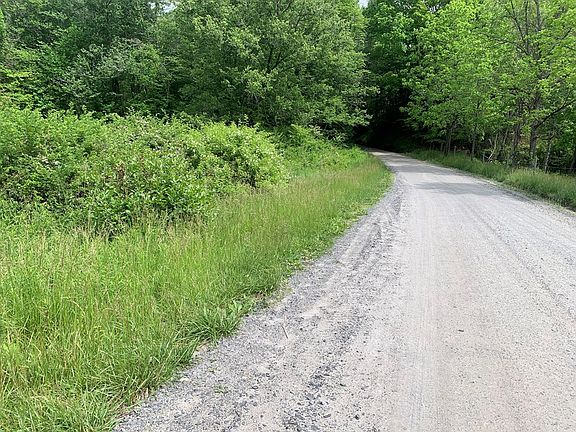 5th image of Greasy Creek Rd