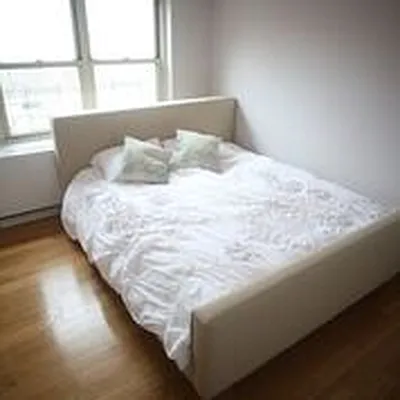 Rented by Stellar Management | media 7