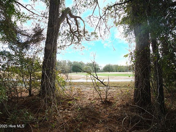 3rd image of 344 Autumn Pheasant Loop NW LOT 8