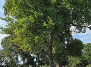 0 S Skains Chapel Rd, Trinity, TX 75862