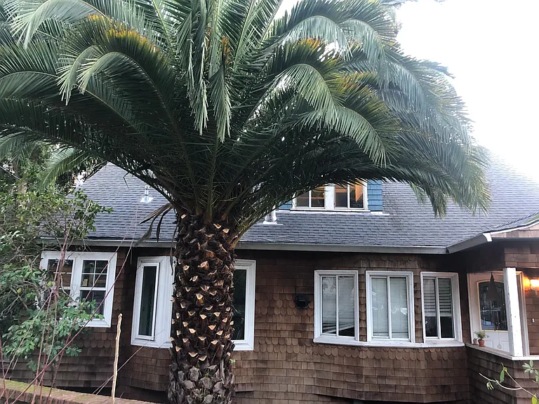 Front of duplex