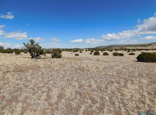 217 Lariat Ln, Quemado, NM 87829
