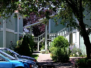 Walnut Court — Photo 1