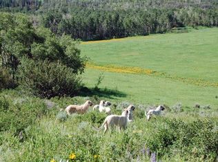 33516 County Road 43a, Steamboat Springs, CO 80487