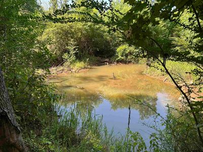 8954 Fm 241 S, Alto, TX, 75925