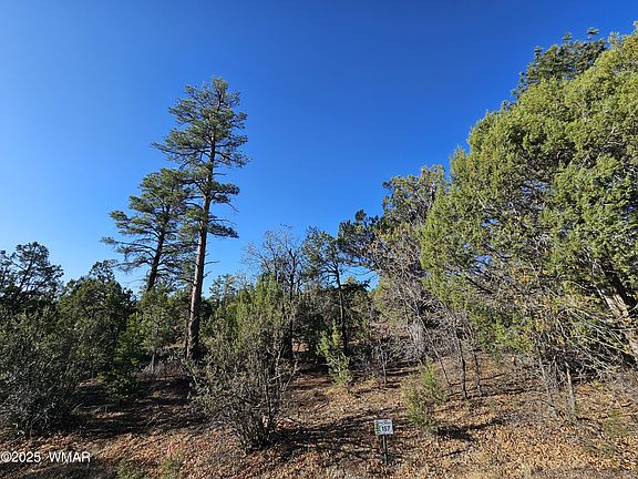 2nd image of 801 W Sierra Pines Dr