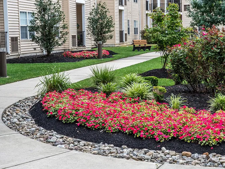 The Cove at Riverwinds Senior Apartments 55+ — Photo 24