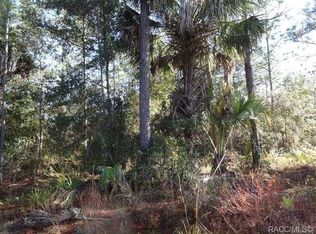 1377 S Candlenut Ave, Homosassa, FL 34448