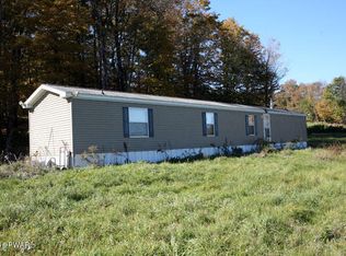 124 Arnolds Rd, Equinunk, PA 18417
