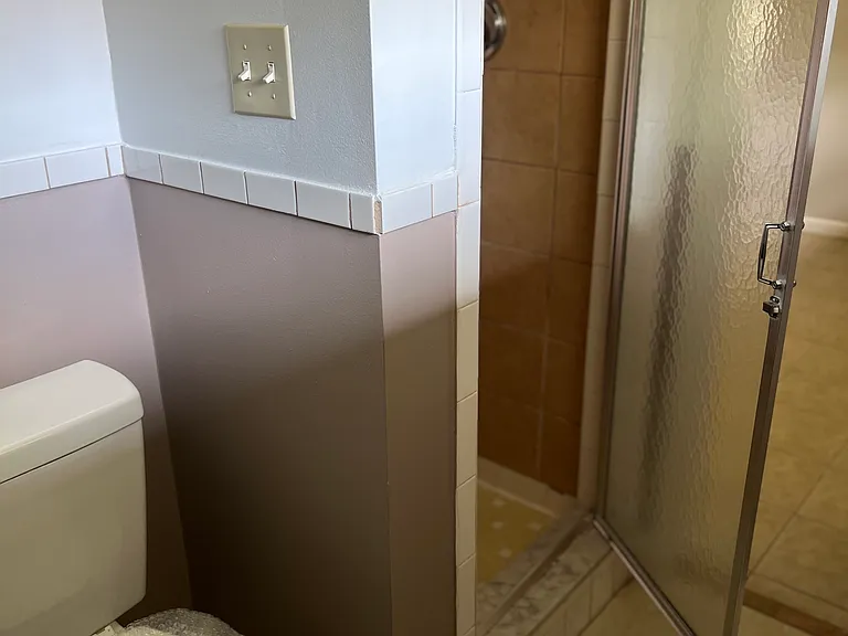 Master Bathroom Shower Box