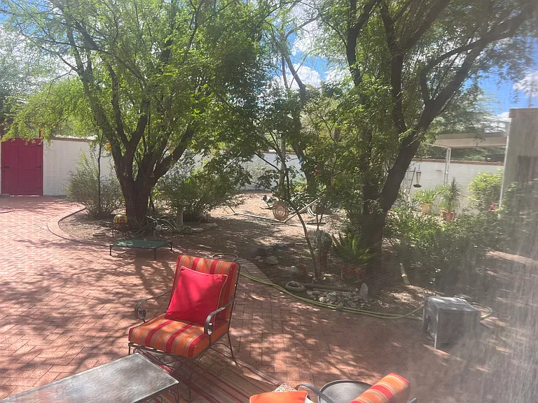 Backyard.