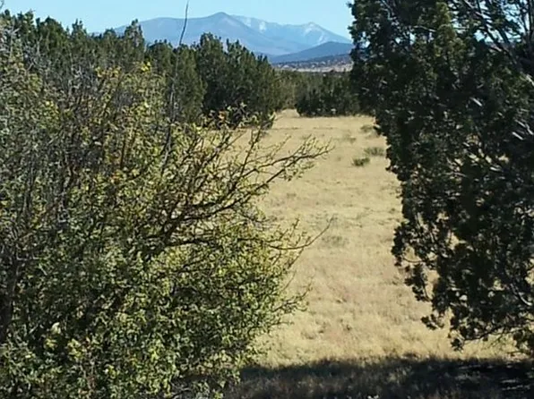 9287 Lariat Rd, Williams, AZ 86046