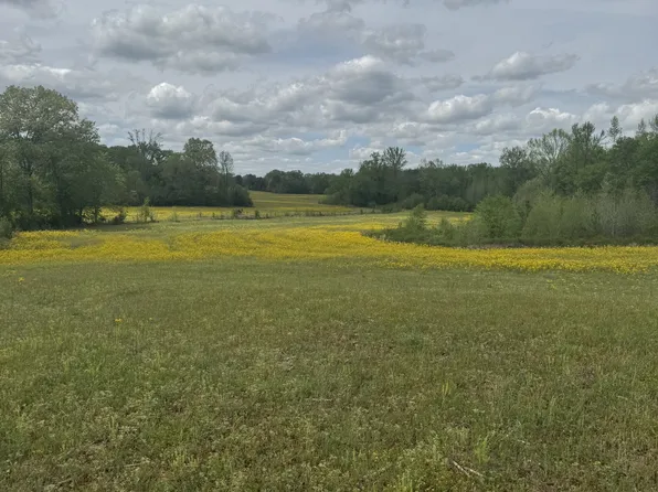 0 Taylor Cemetery Rd, Buena Vista, TN 38318