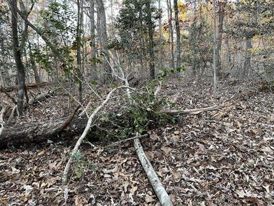 0 Gold Diggers Rd #7, Dahlonega, GA, 30533
